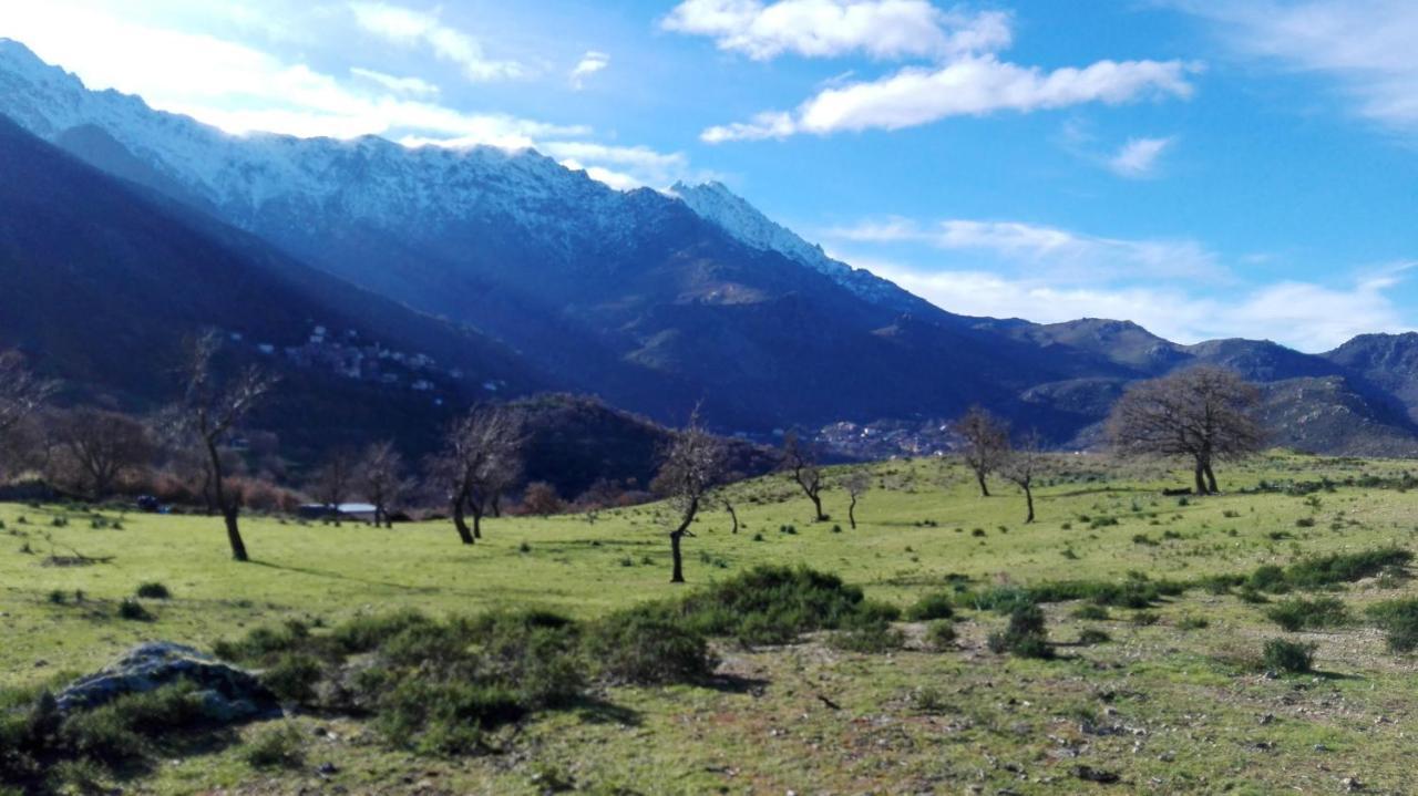 Appartement Raffine A Feliceto 120 M² Avec Vue Sur Montagne Exterior foto